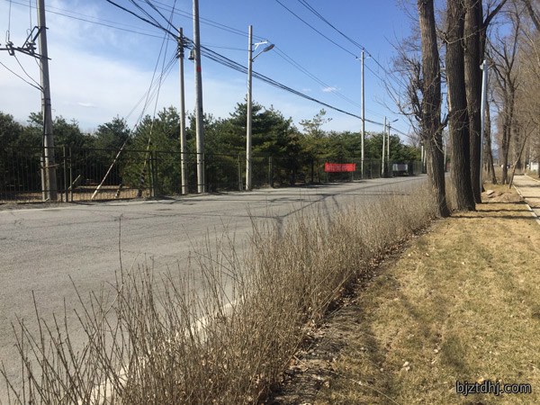 太平洋水泥制品环境维护道路